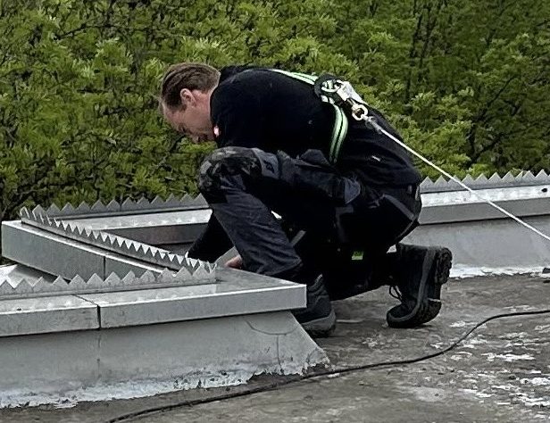 Dachwartung Flachdach München Jasper Mogg bei der Dachwartung auf einem Flachdach in München"